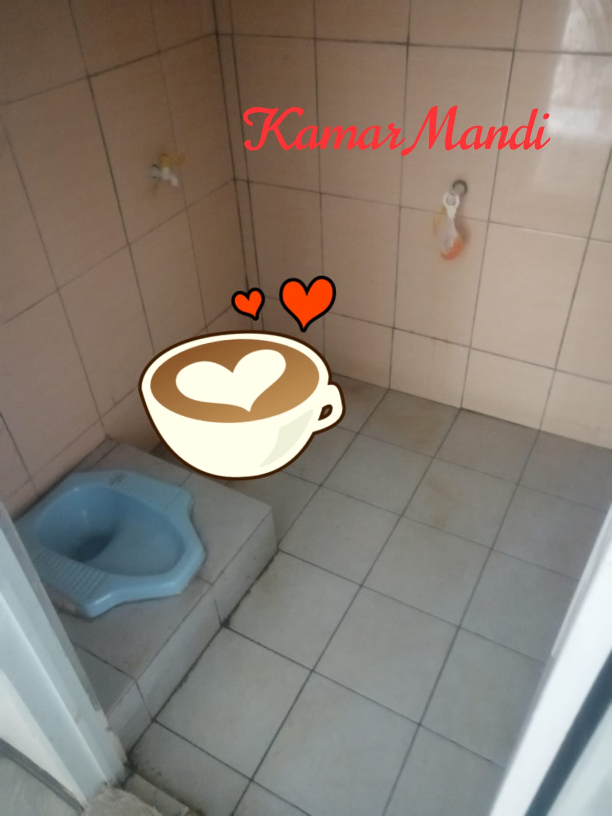 WhatsApp Image 2022-11-02 at 07.11.47